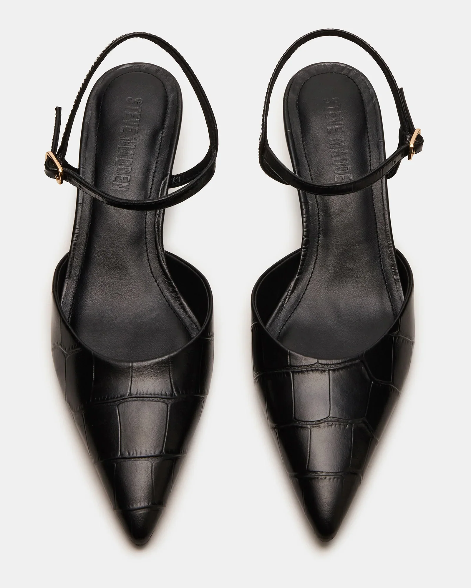 ADELAIDE BLACK EXOTIC - Image 4