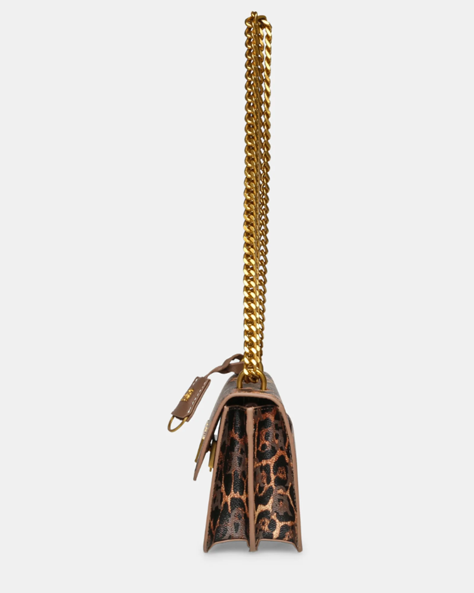 BCOAL-L LEOPARD - Image 5