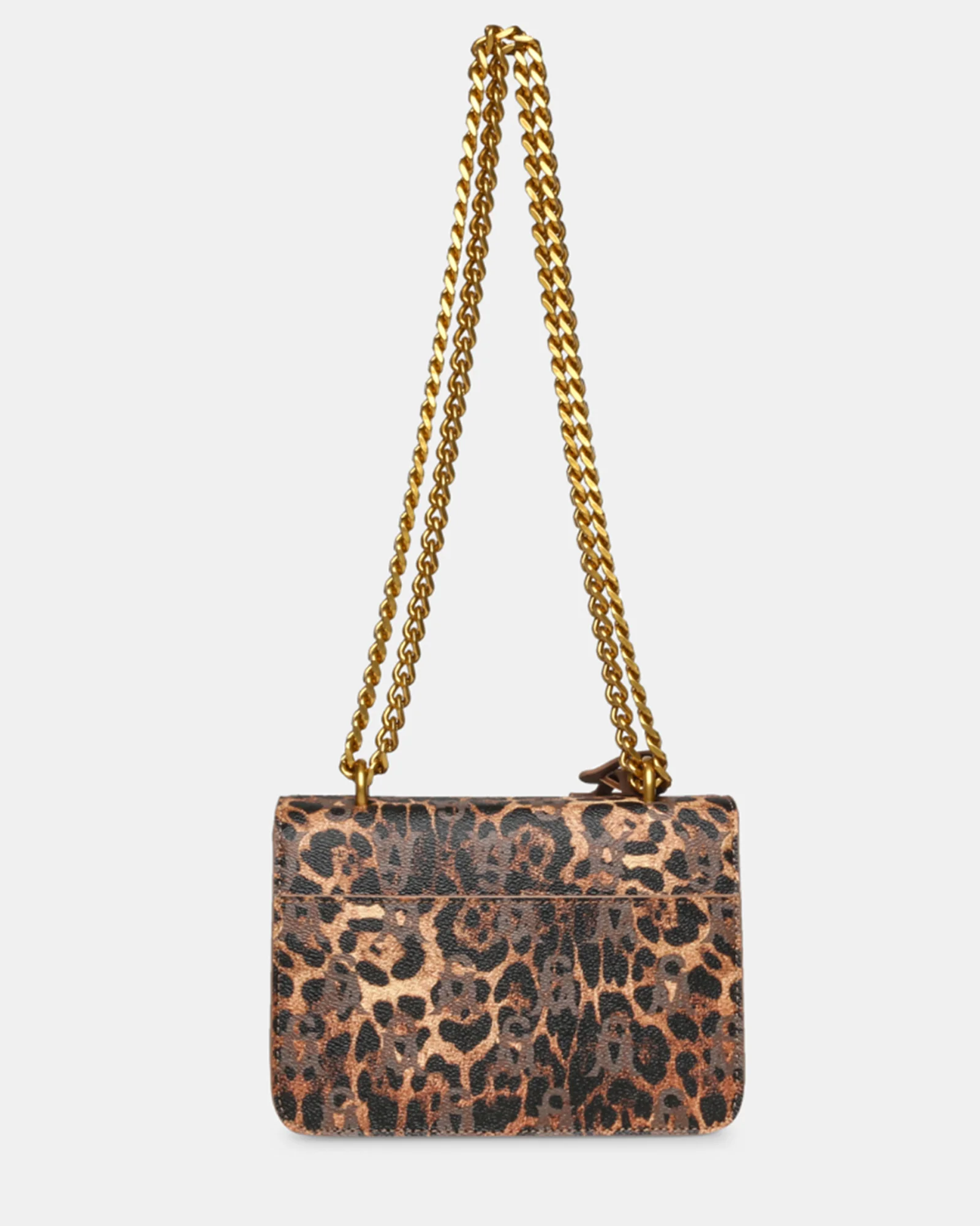 BCOAL-L LEOPARD - Image 6