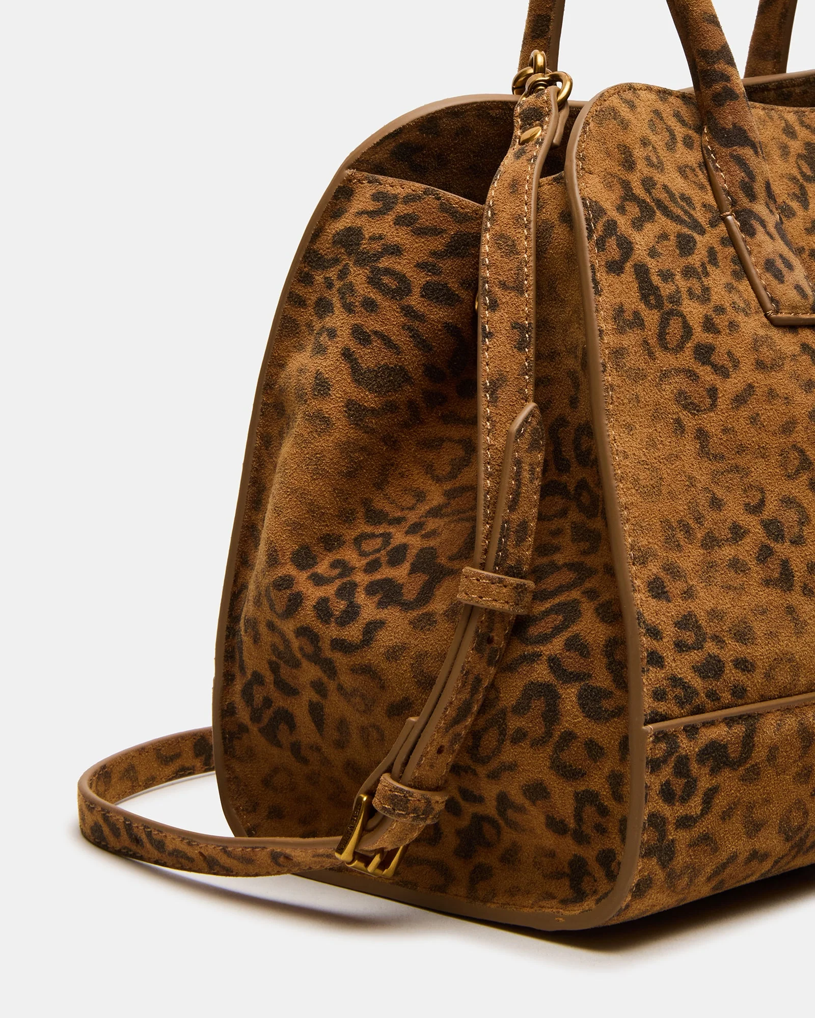 BHADLEE LEOPARD - Image 3
