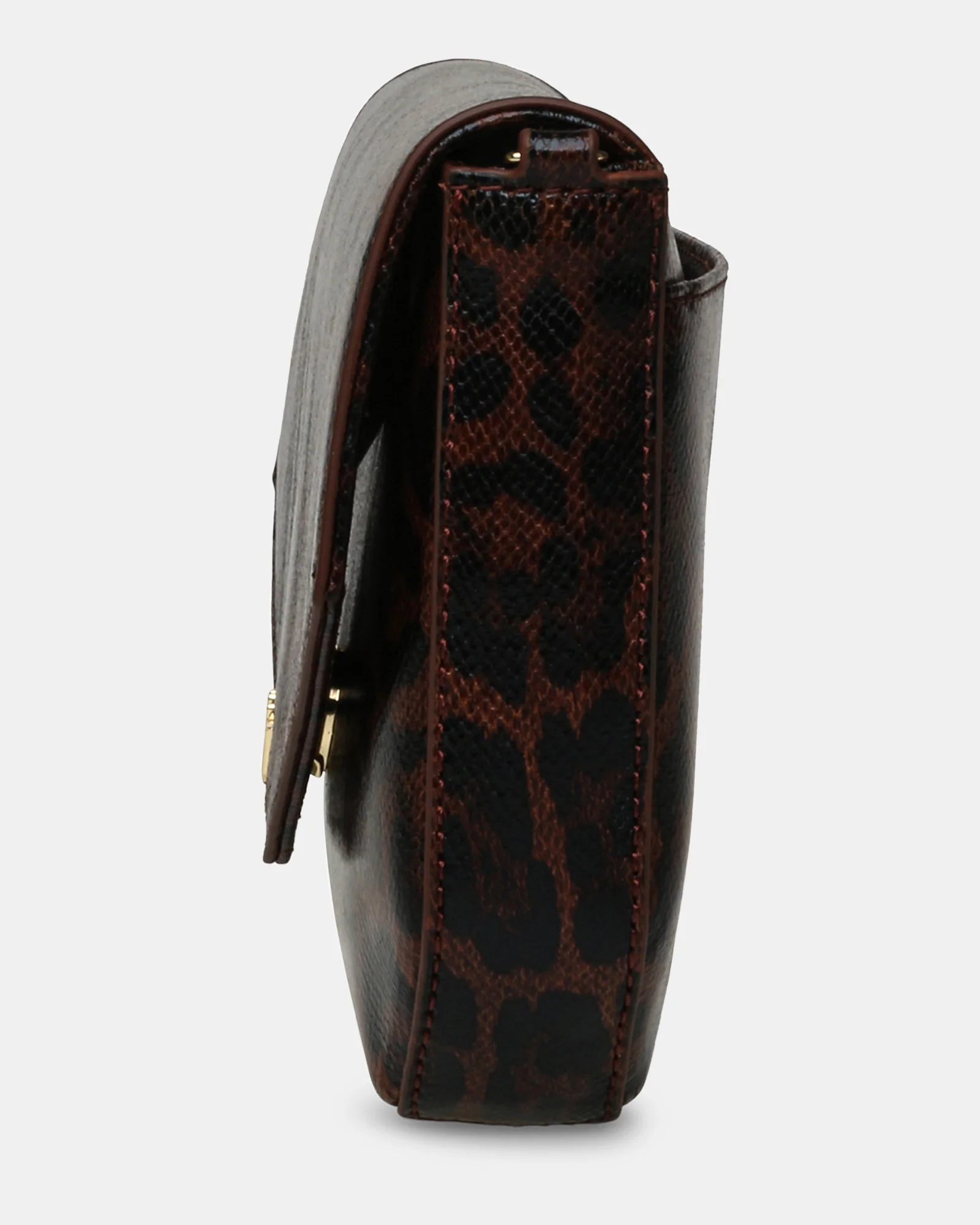 BSANDRYE LEOPARD - Image 3