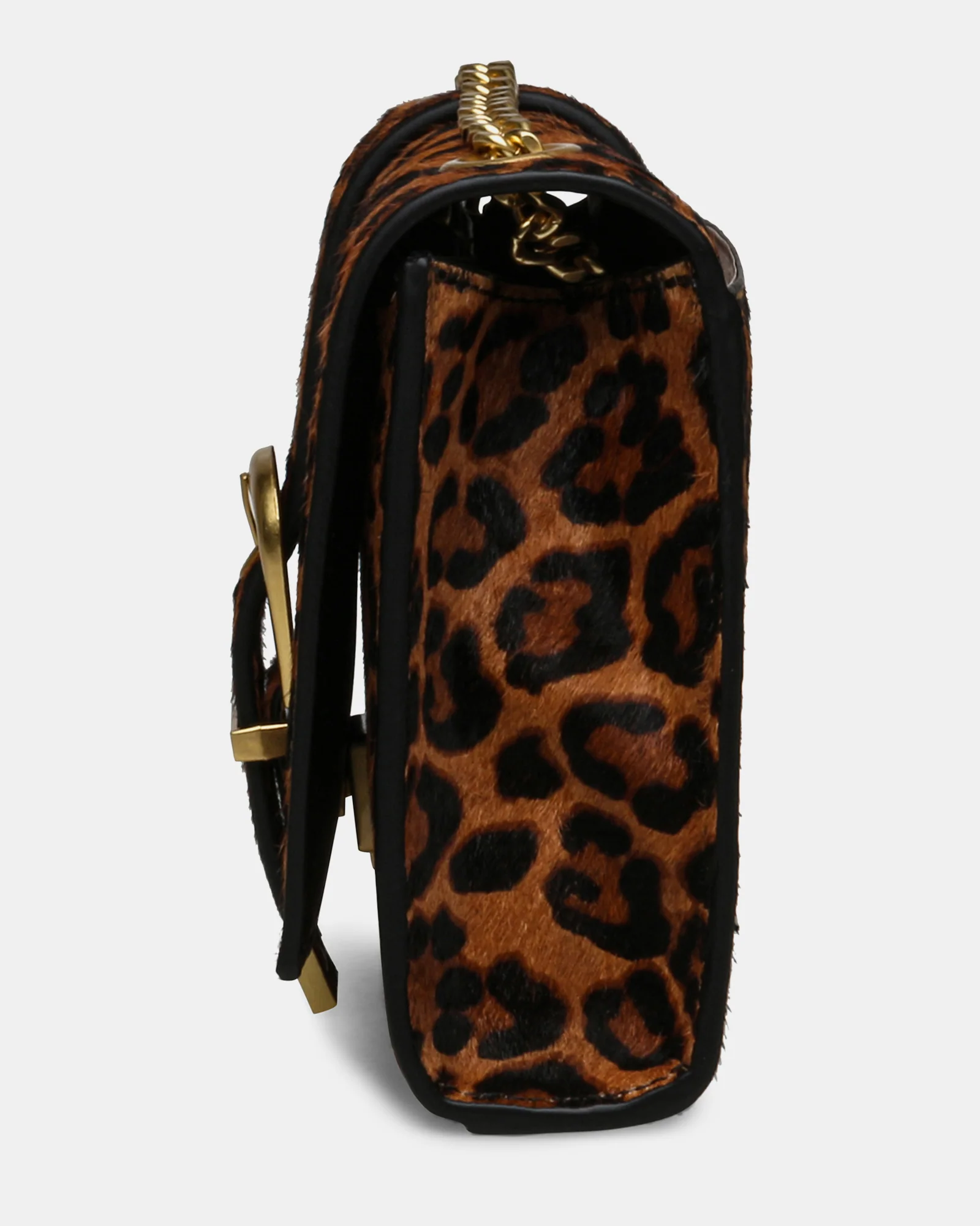 BZETA LEOPARD - Image 3