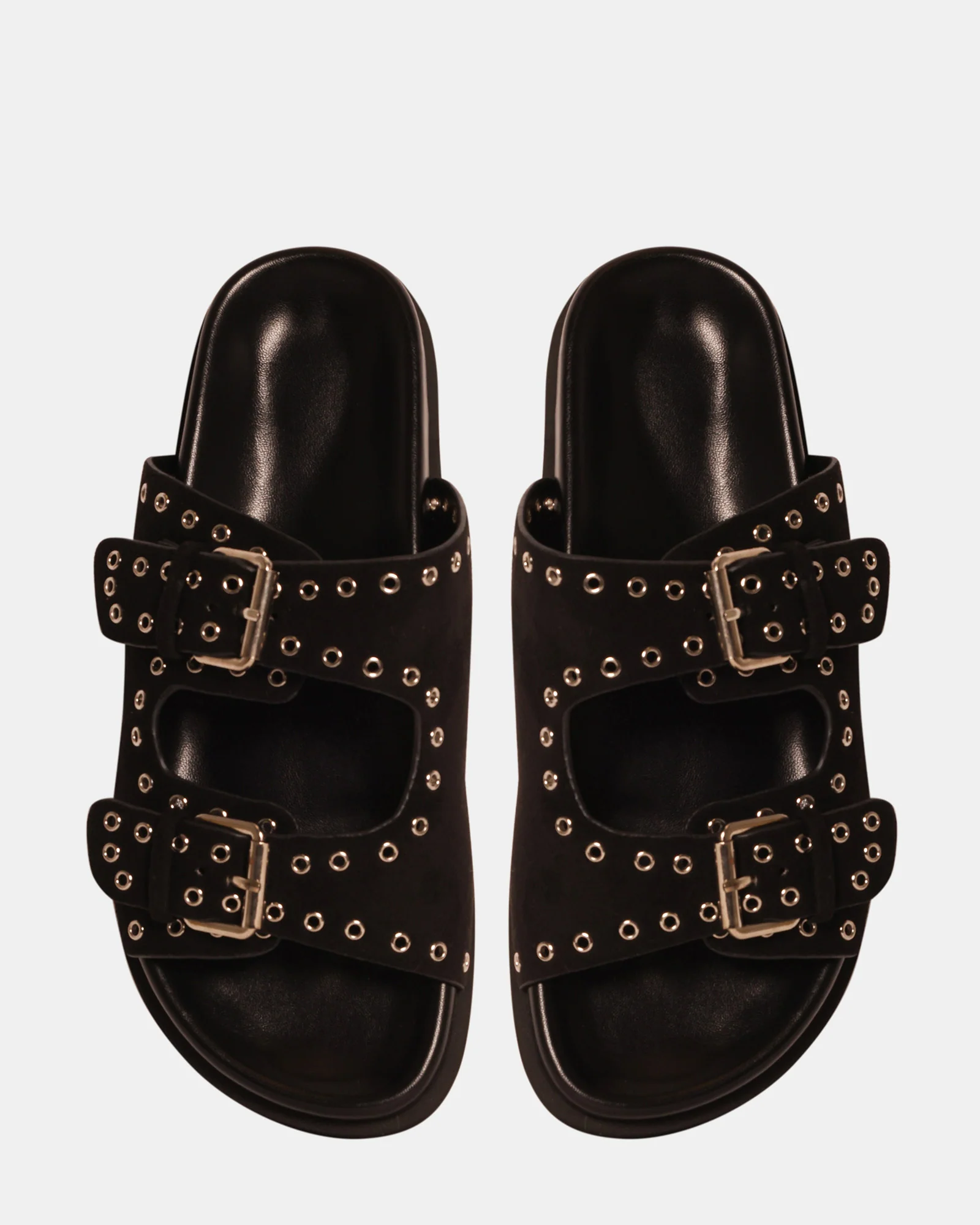 CAPTIVE BLACK - Image 4