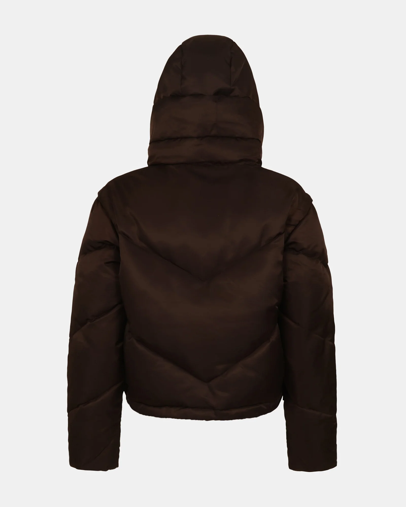 SARA COAT BROWN - Image 4