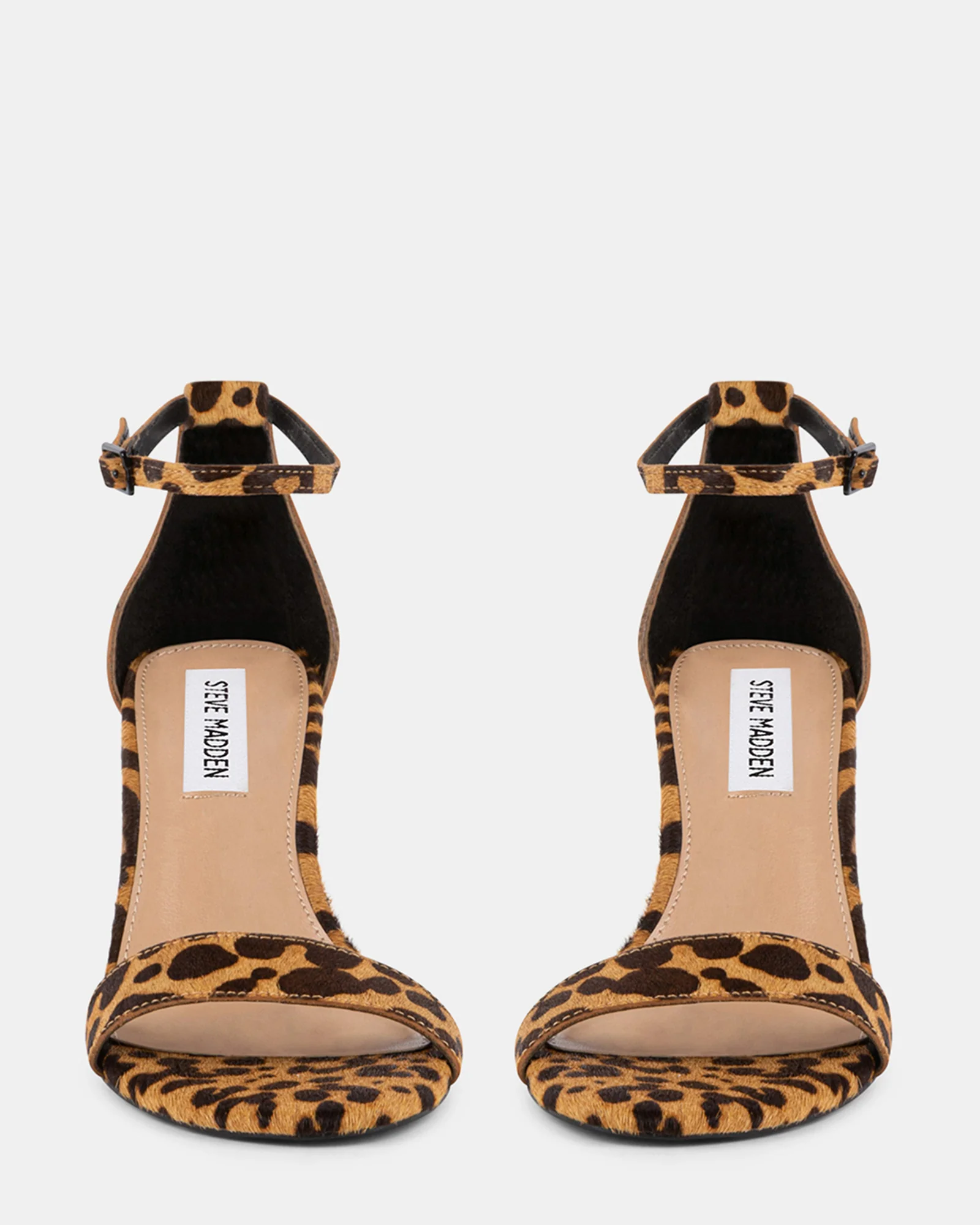 DYLANN-L LEOPARD - Image 3
