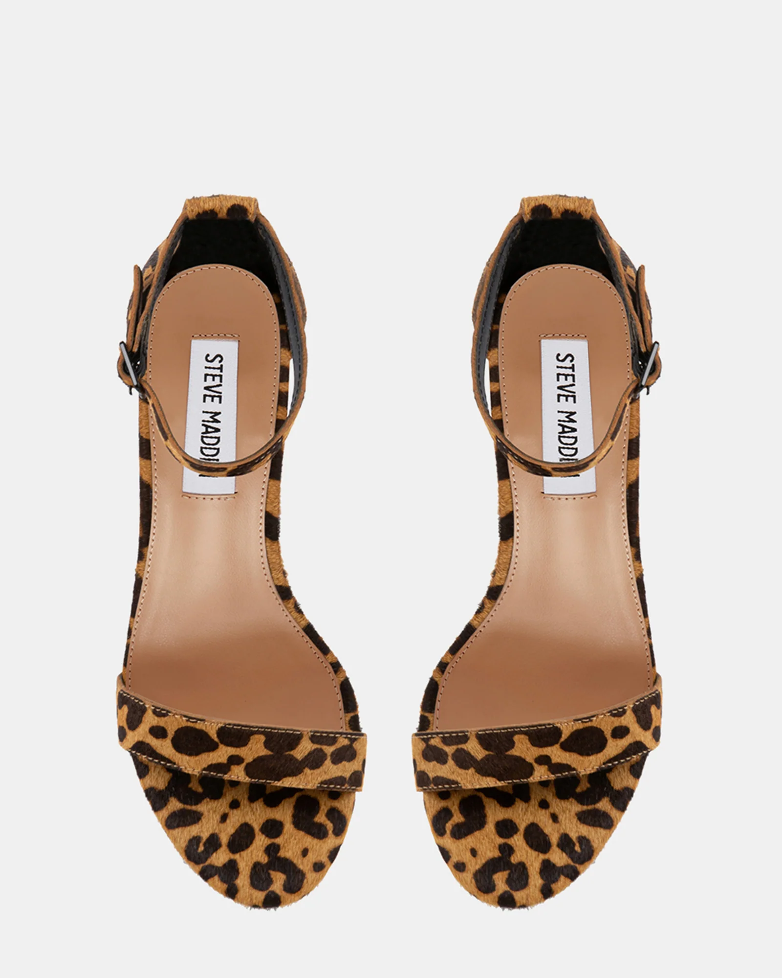 DYLANN-L LEOPARD - Image 5