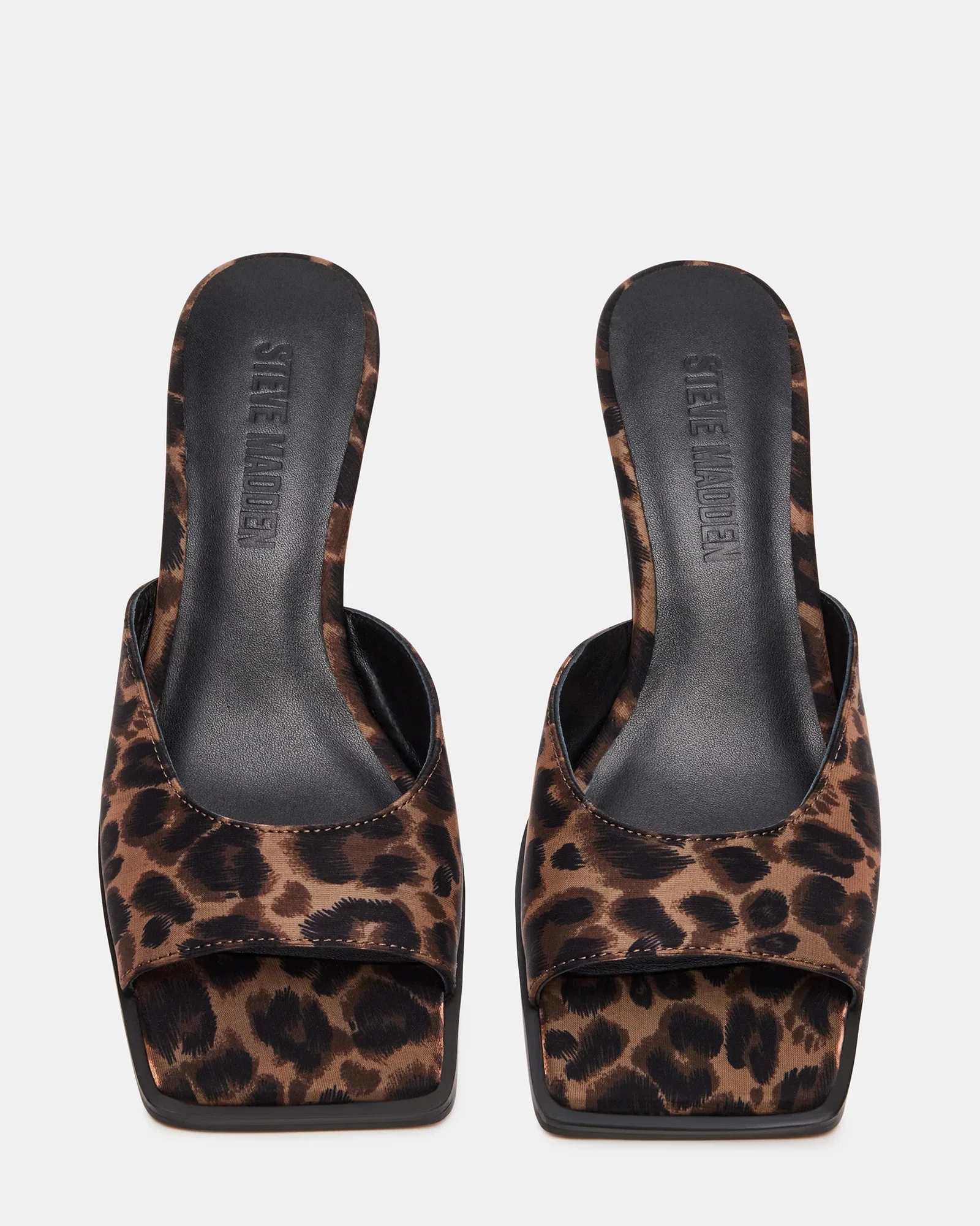 GEM LEOPARD - Image 6