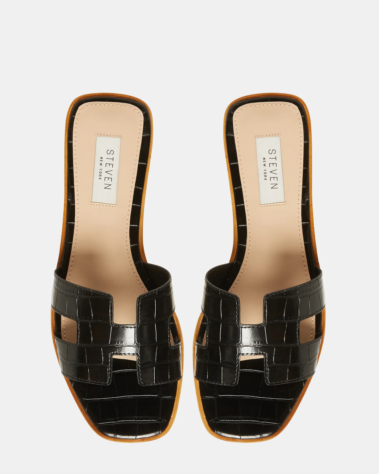 HADYN BLACK EXOTIC - Image 5