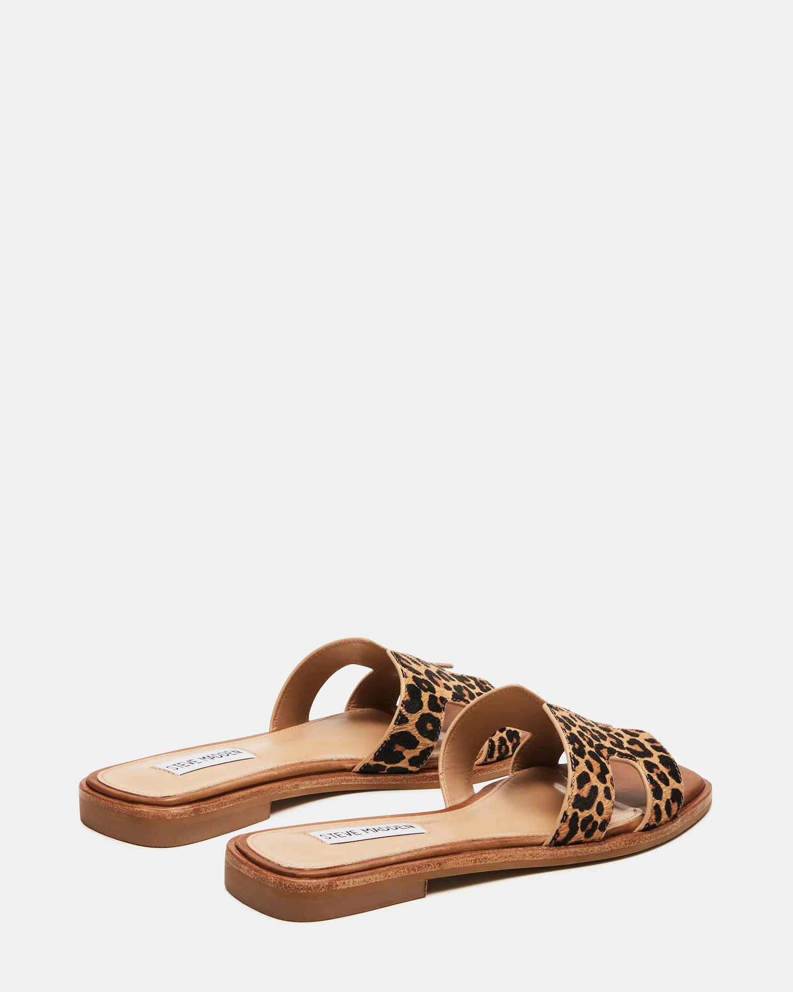 HADYN-L LEOPARD - Image 3