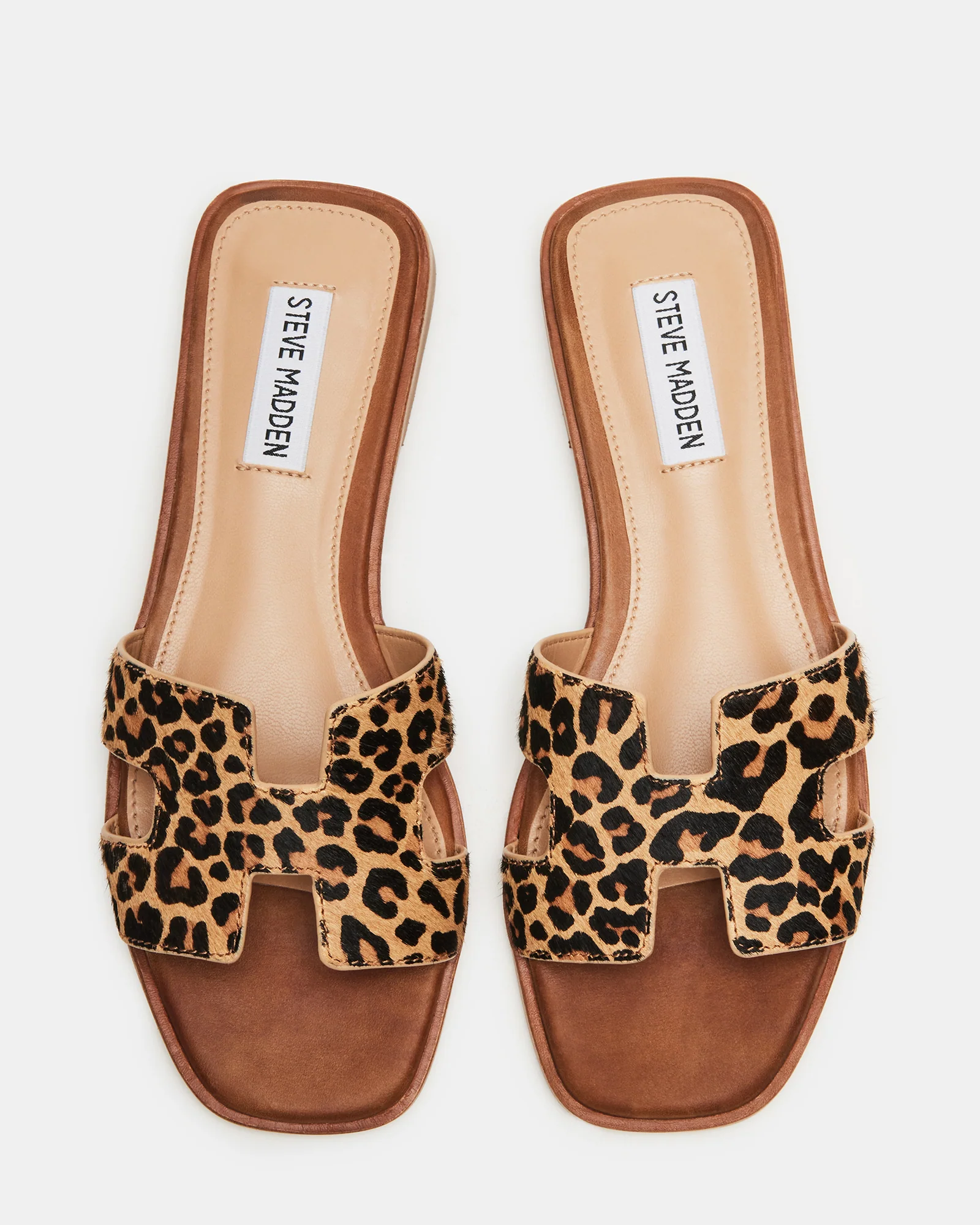 HADYN-L LEOPARD - Image 4
