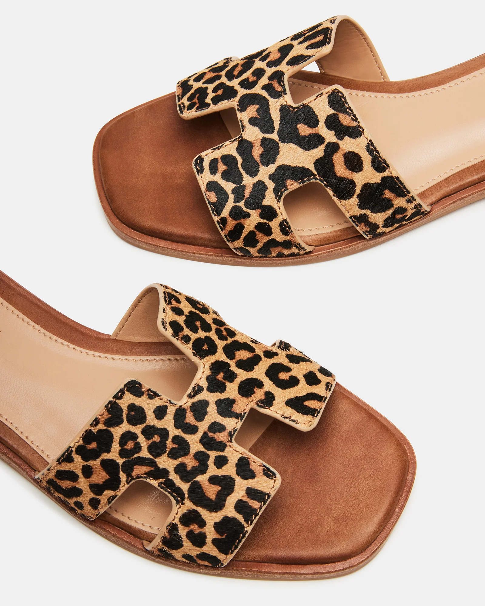 HADYN-L LEOPARD - Image 5