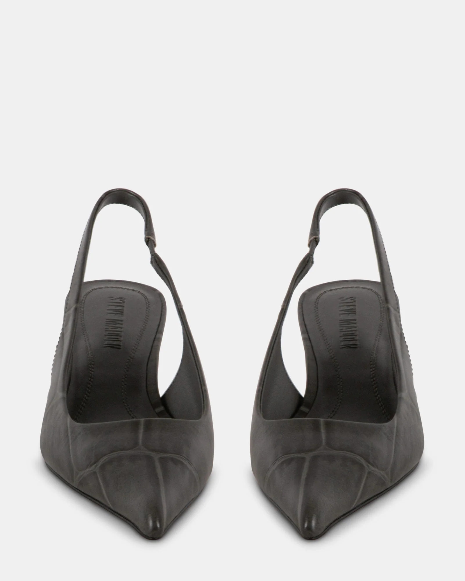 KITTIE-C GREY EXOTIC - Image 3