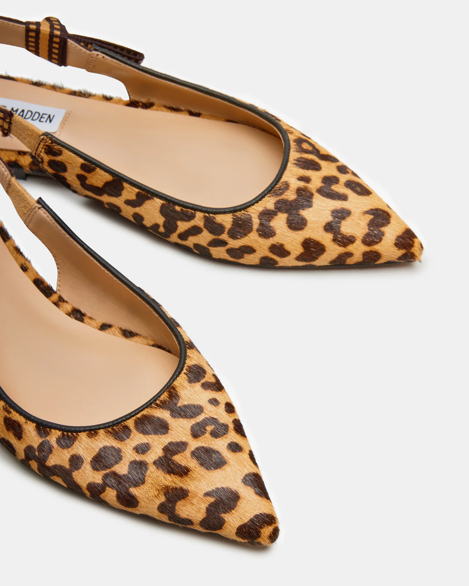 OLSEN-A LEOPARD - Image 4