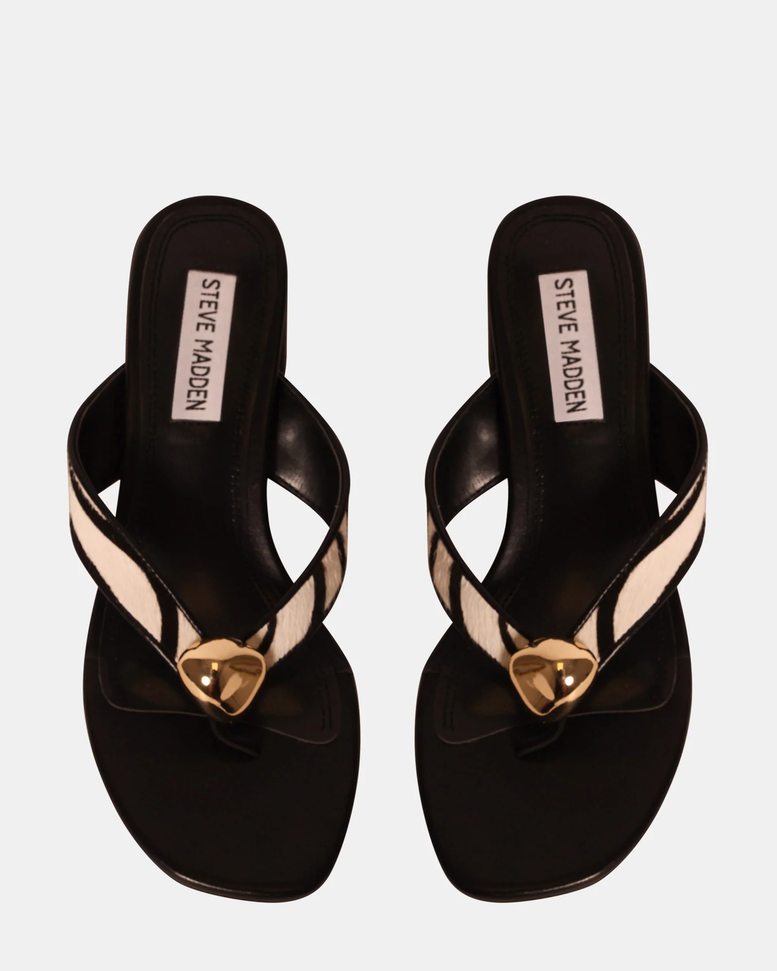 POD ZEBRA - Image 7