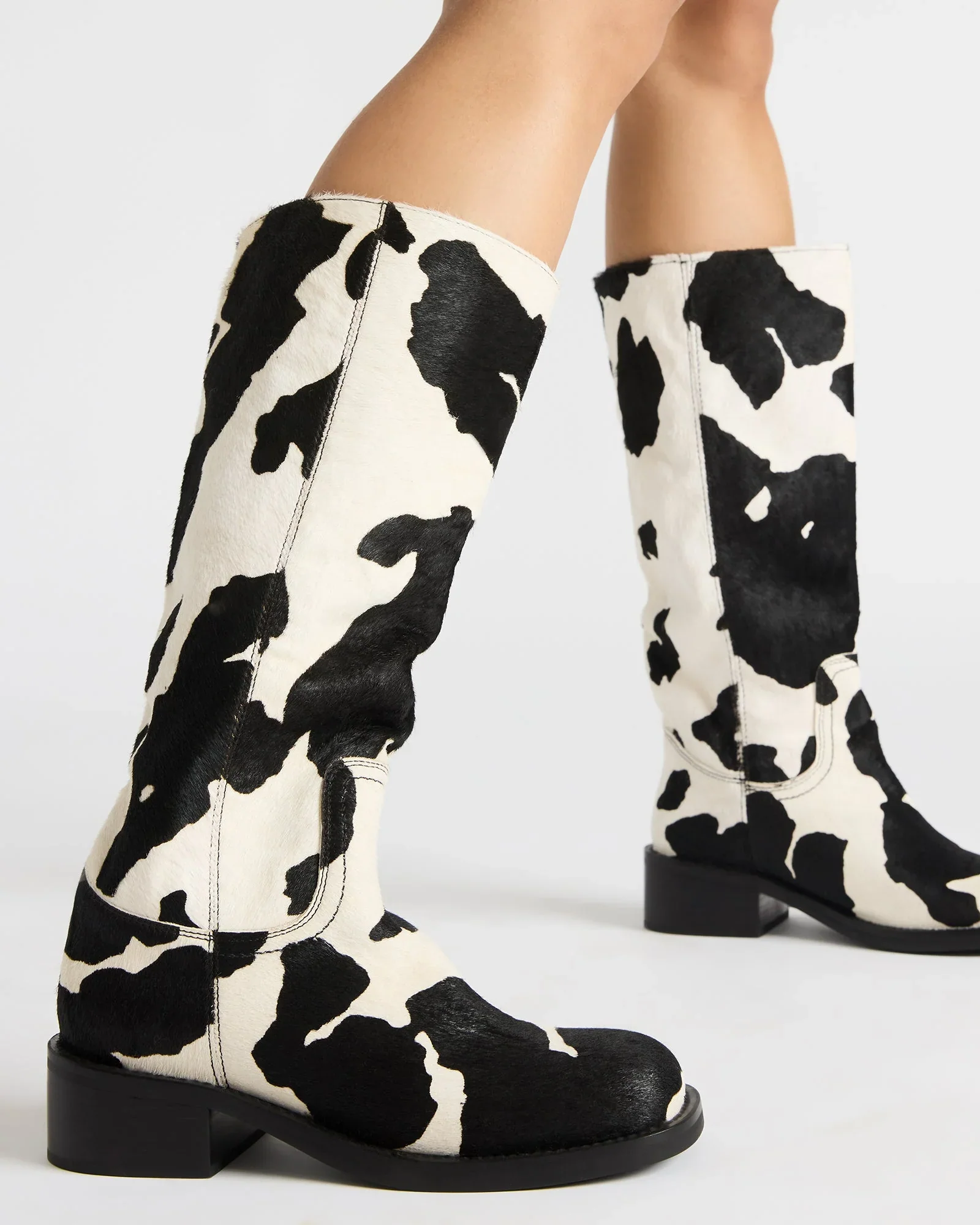 RIGGS-H COW - Image 2