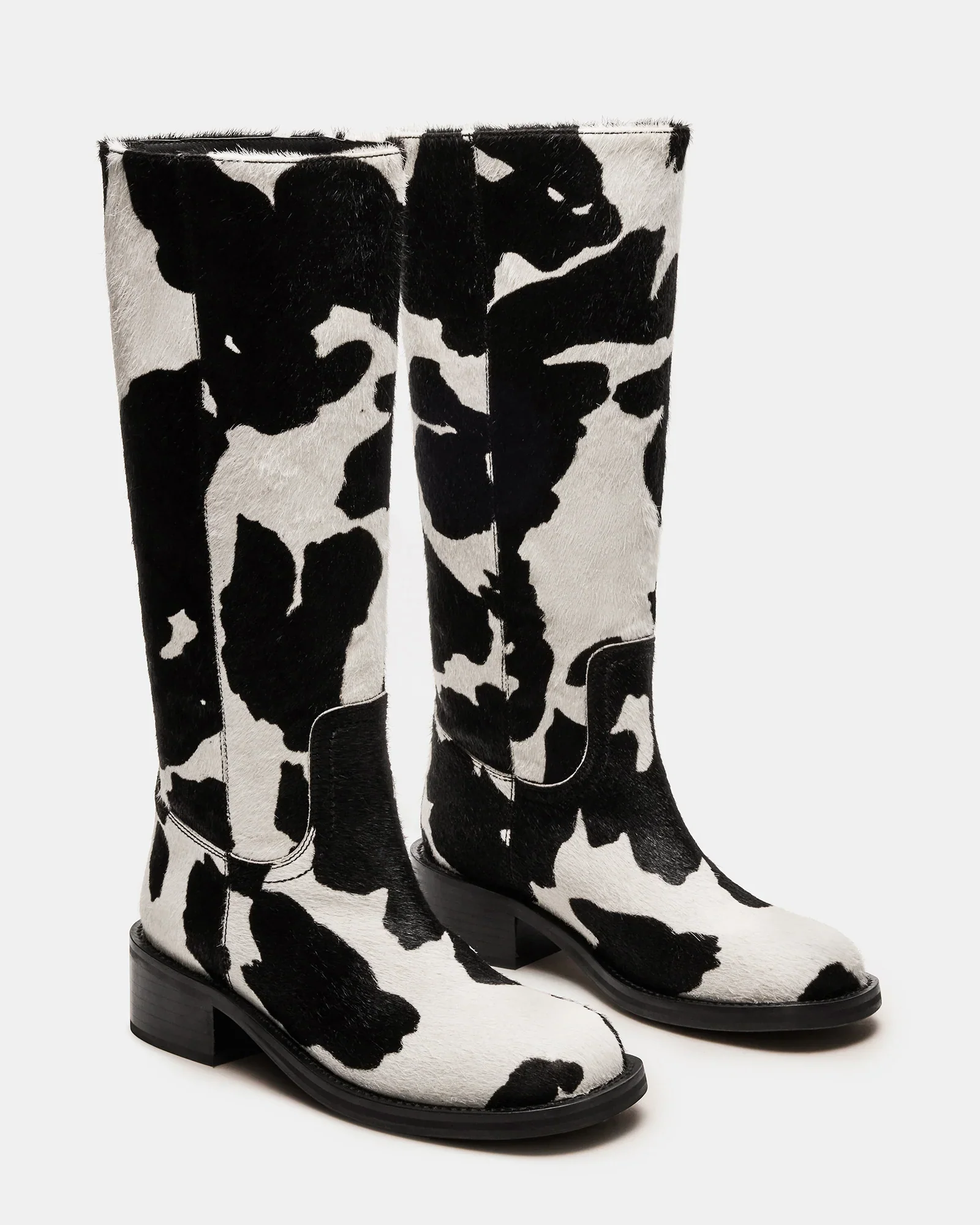 RIGGS-H COW - Image 3