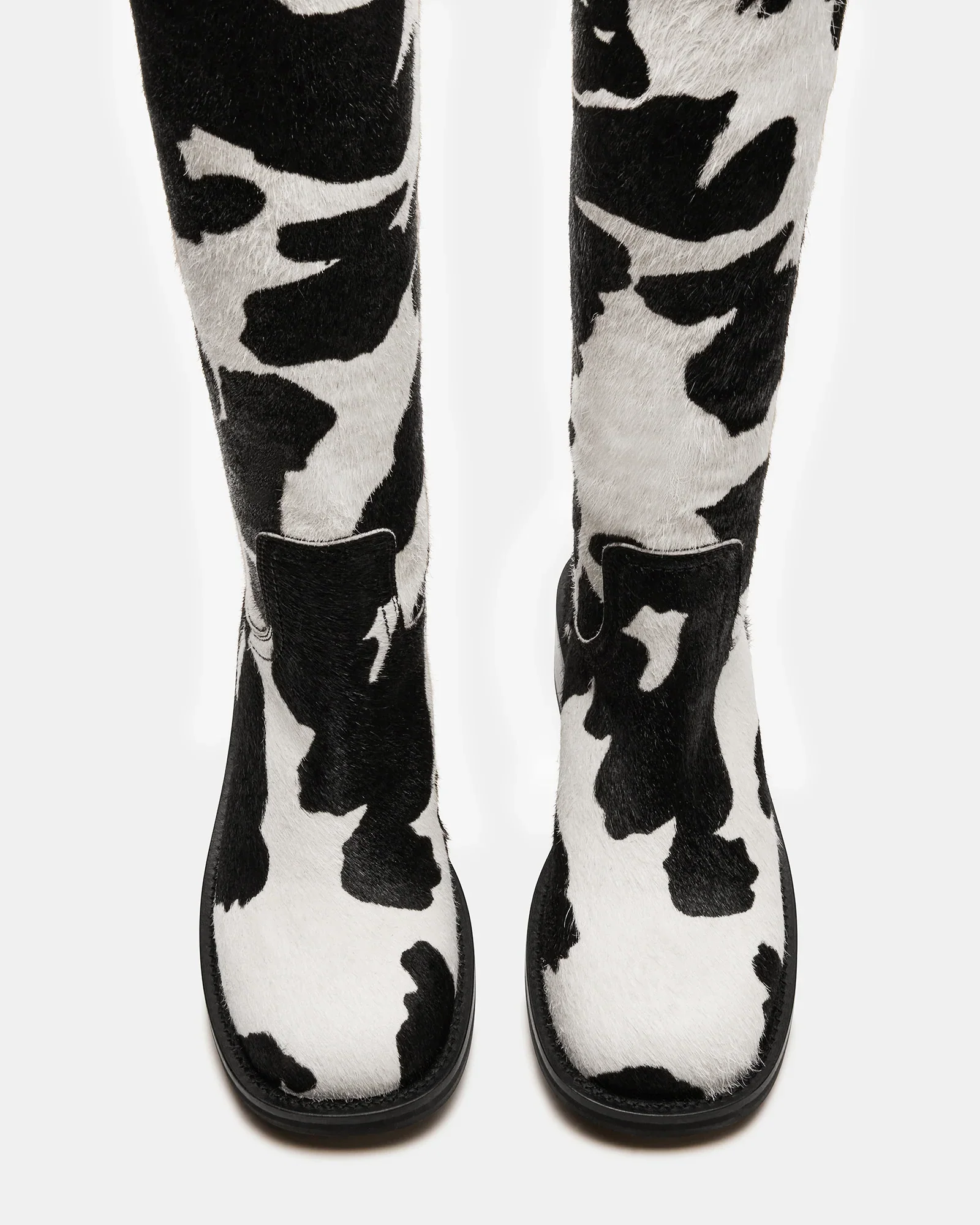RIGGS-H COW - Image 5