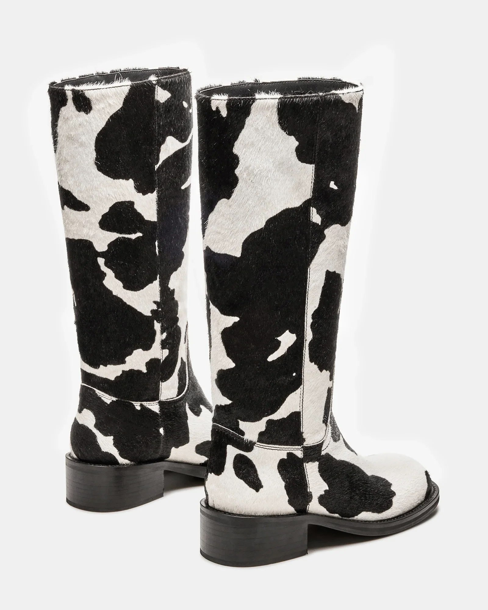 RIGGS-H COW - Image 6
