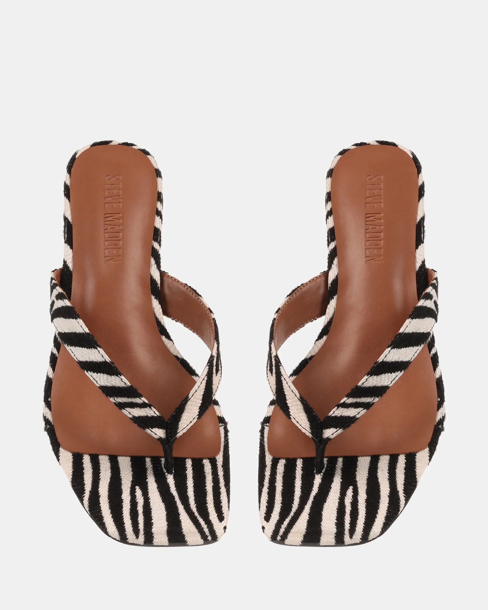 TRACIE-Z ZEBRA - Image 4