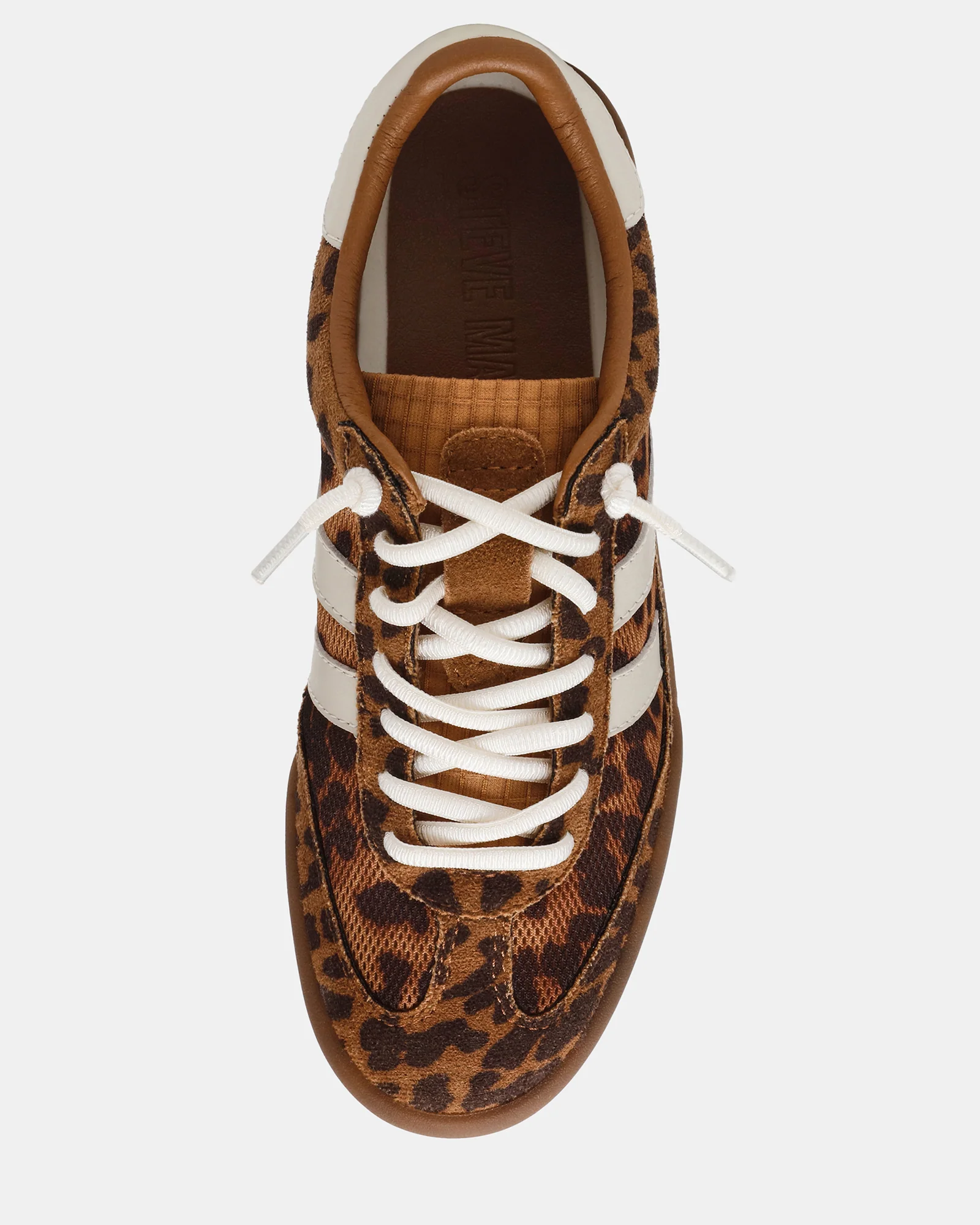 VERDICT LEOPARD - Image 5